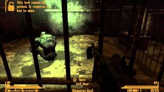 Fallout New Vegas: Dead Money, Dog or God?