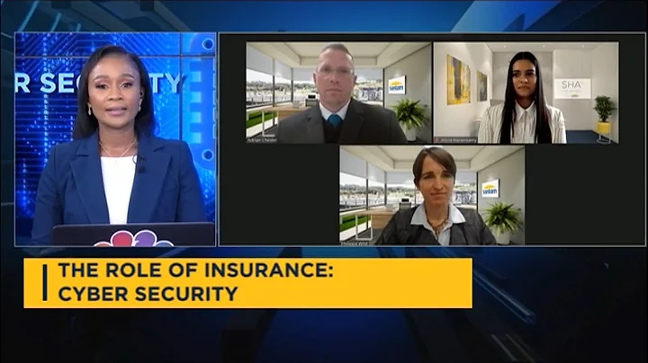The Role of Insurance: Cybersecurity