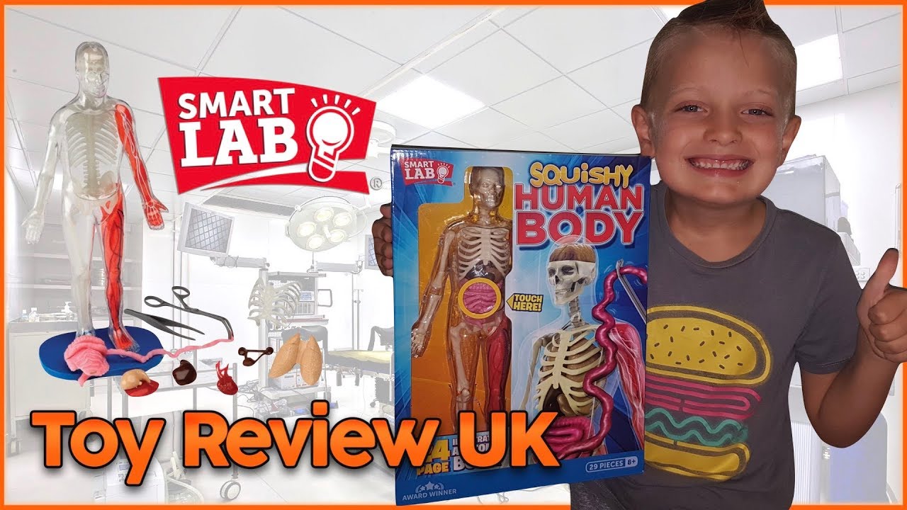 Squishy Human Body Toy Review UK YouTube