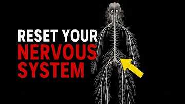 If You Don’t Reset Your Nervous System, You Can’t Manifest Anything