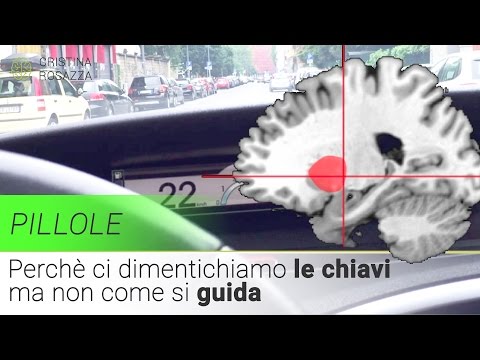 Video: È la memoria procedurale di guida?