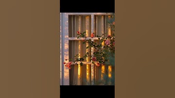 القارئ:ياسر الدوسري #قرآن #اجر #story