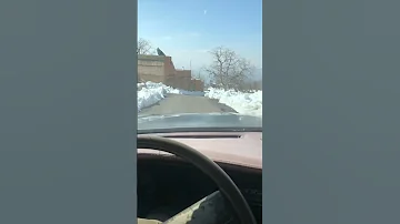 عالهدا تمشي بهدا 