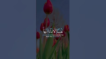 لَا یُكَلِّفُ ٱللَّهُ نَفۡسًا إِلَّا مَاۤ ءَاتَىٰهَا #القارئ_رعد_الكردي