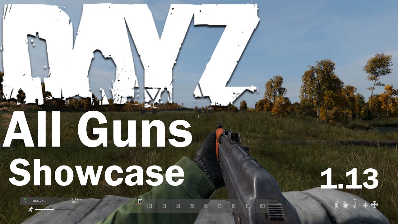 Dayz gun