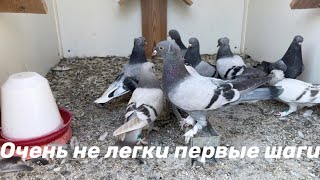 Очень не легки первые шаги…