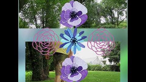 Collage Maker   Video, Photo Grid  Montage20210728115427