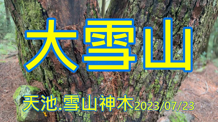 大雪山森林游乐区之天池及雪山神木2023/07/23 - 天天要闻