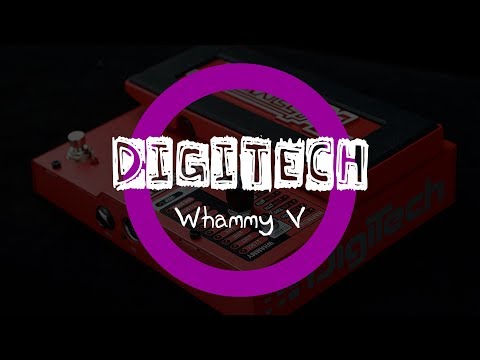 Почему я выбрал Digitech Whammy 5 Почему я выбрал Digitech Whammy 5