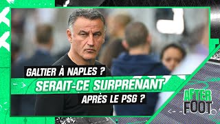 Serie A : Galtier possible futur entraîneur de Naples, est-ce surprenant ?