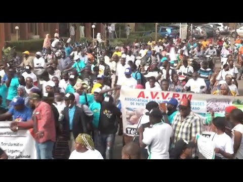 Demonstrators in Burkina Faso demand that Bolloré leave the country