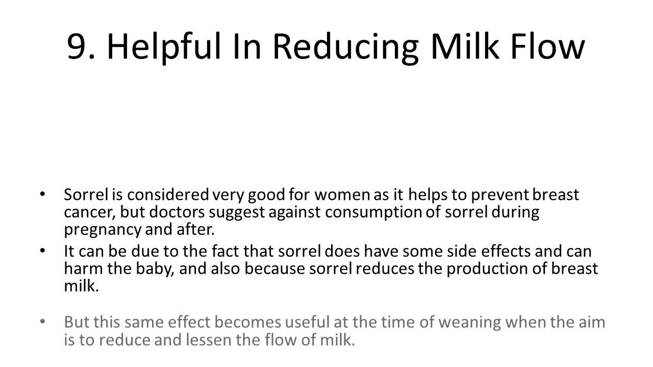 Top 10 Health Benefits and Advantages of Eating Sorrel Leaves YouTube