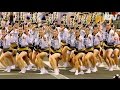 美しく爽やかに ほんま連の阿波踊り The Unity and the Harmony of "Honma-ren"