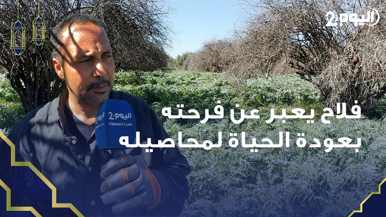 مراكش.. بعد سنوات من الجفاف/ فلاح يعبر عن فرحته بعودة الحياة لمحاصيله من الخرشوف والرمان