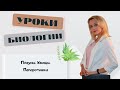 Плауны.  Хвощи.  Папоротники