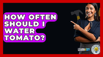 How Often Should I Water Tomato? - LearnToDIY360.com