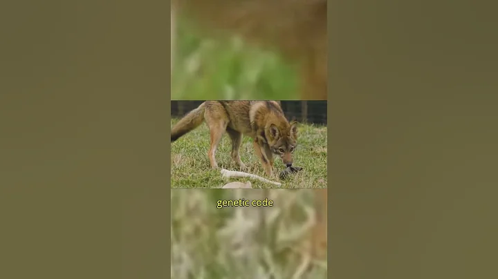 Hacking Humanity: Can We Control Evolution?