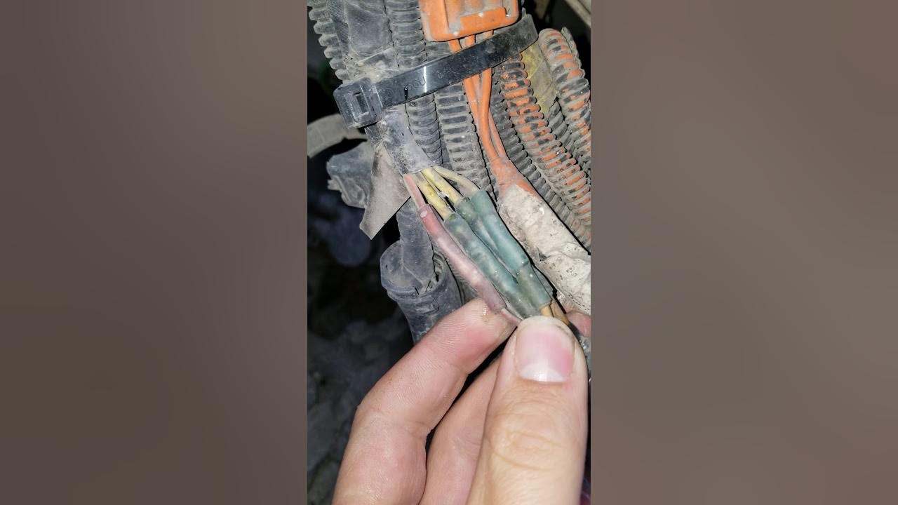 2015 Paccar Main check engine blinking and DEF light blinking YouTube