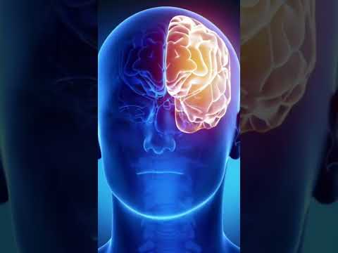 إزاى عقلك ممكن يخدعك السر العلمي وراء الذكريات المزيفة من باب العلم بالشىء كريم زين قصص غموض