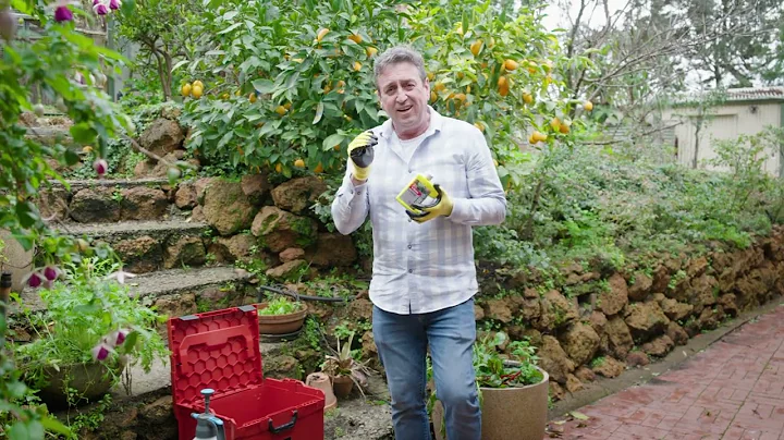 Yates Liquid Copper Fungicide Gardener's Toolbox Garden Gurus