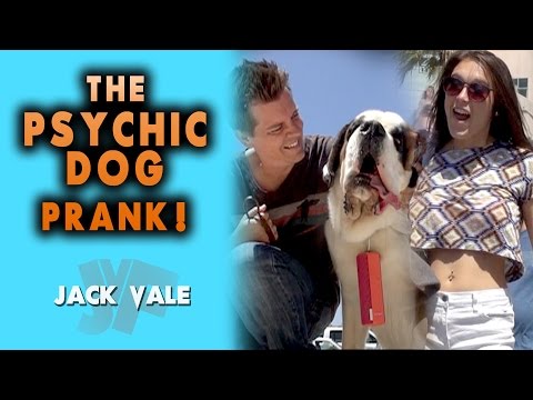 the-psychic-dog-prank