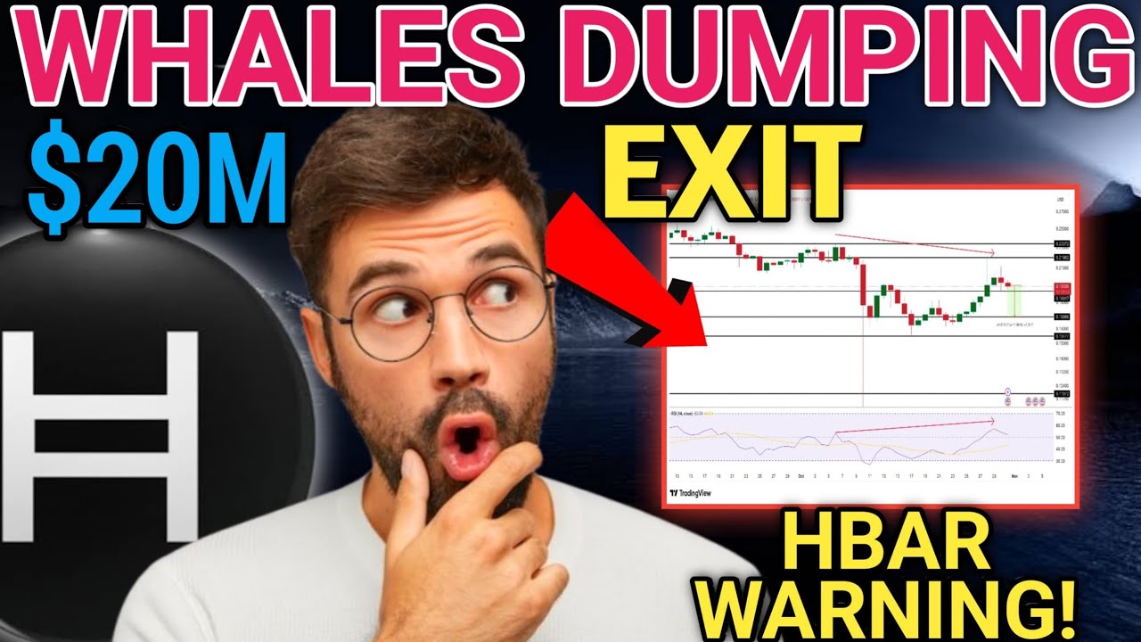 Hedera HBAR подскочил на 14%, пока киты выбирают стратегию тихого ухода