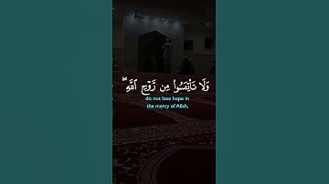 تلاوة تلامس القلب | قرآن كريم يريح النفس ويطمئن القلب 🌿📖