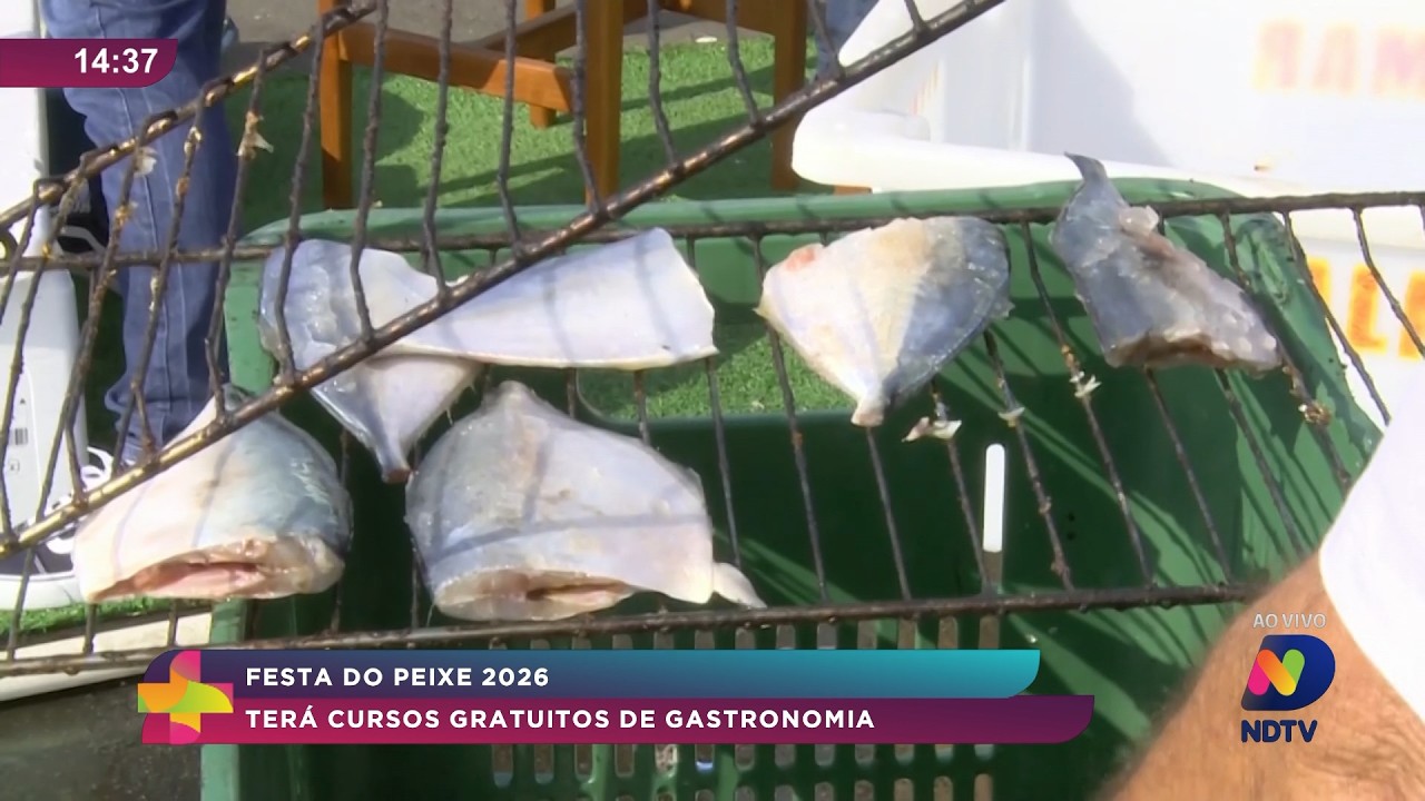 Festa do Peixe 2026 terá cursos gratuitos de gastronomia