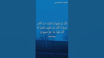 سورة الأنفال ( ٦٢ - ٦٣) / ياسر الدوسري
