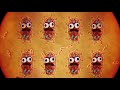 The Bacteria Song 
