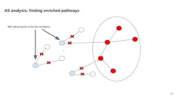 Beyond protein-protein interaction networks... - Zakaria Louadi - NetBio - Talk - ISMB/ECCB 2021