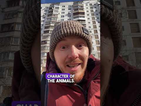 The law of Ukraine #dogtraining