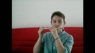 Ten Types of Flutists during Quarantine (TwoSet parody)