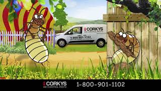 Corkys Pest Control   Termites