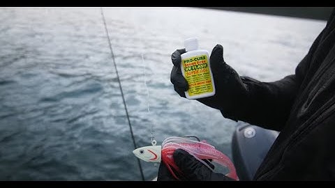 Lake Trout Jig Fishing Basics (Scent, Profile & Color)