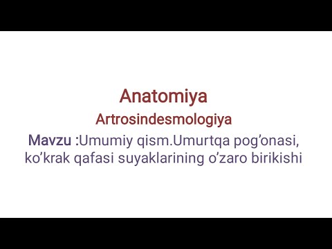 Artrologiya 1-dars (Anatomiya)