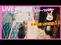 マリリンファミリー🐱子供の日LIVE配信♪̊̈♪̆̈