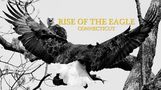 RISE OF THE EAGLE- CONNECTICUT