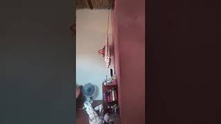 Mariana Graziela ......Gast Danca Muinto .