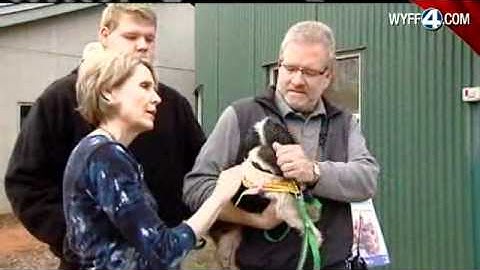 Dog Thrown Away In Trash Twice Gets New Home