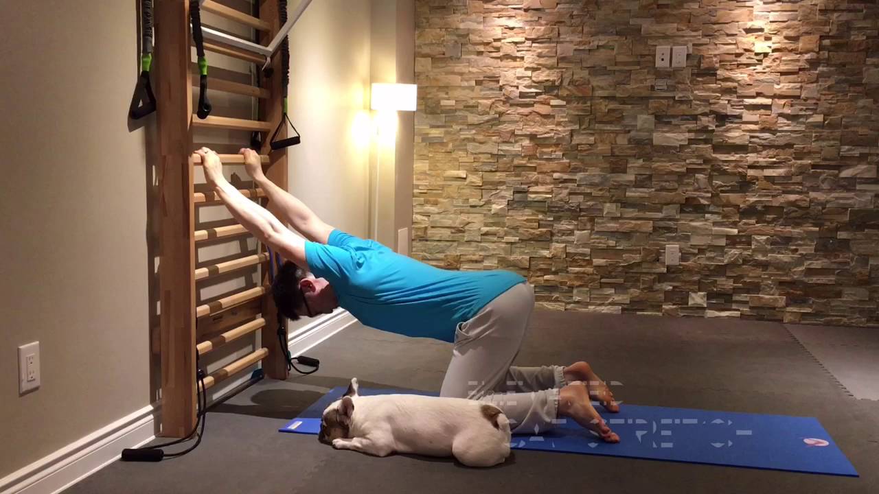 Elevated Cat Stretch YouTube