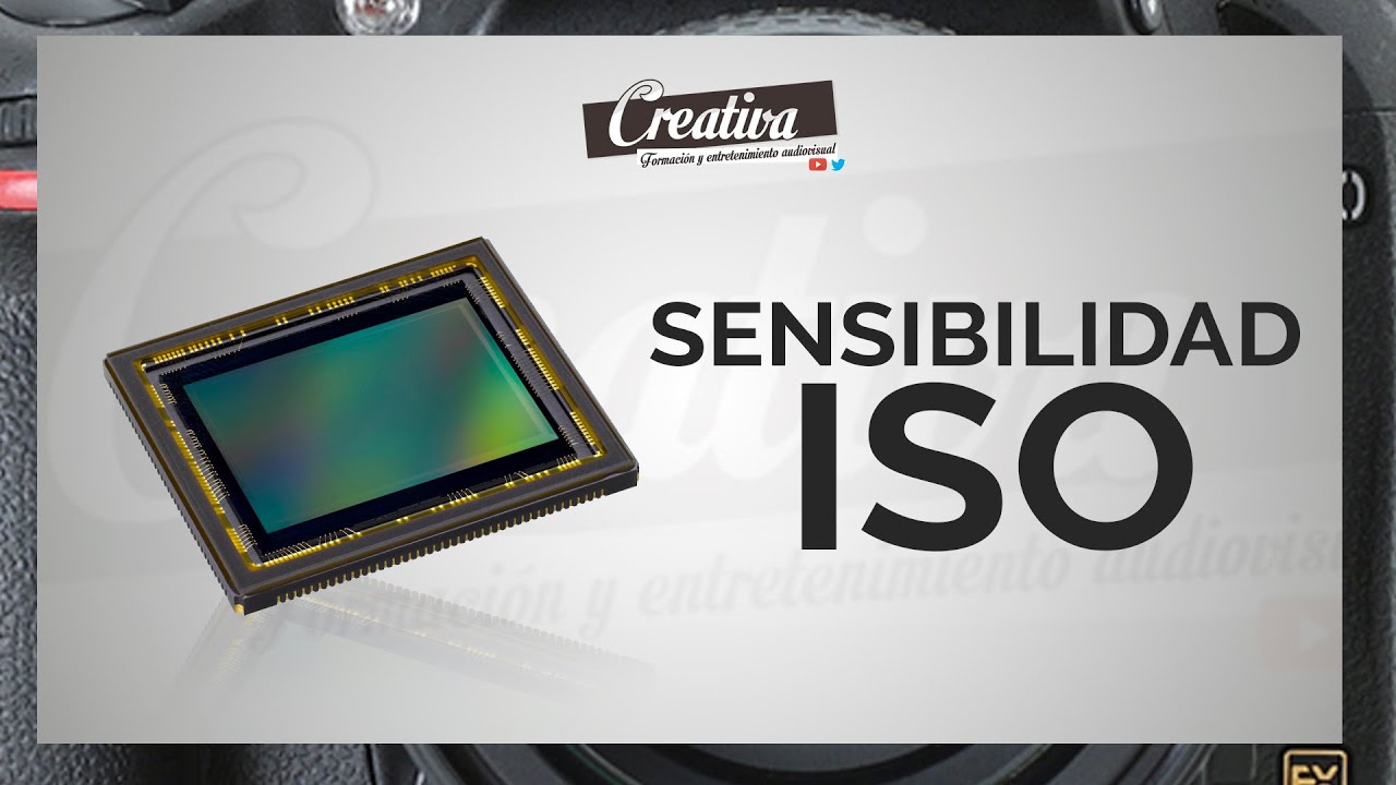 CURSO DE INICIACIÓN A LA FOTOGRAFÍA [4/6]