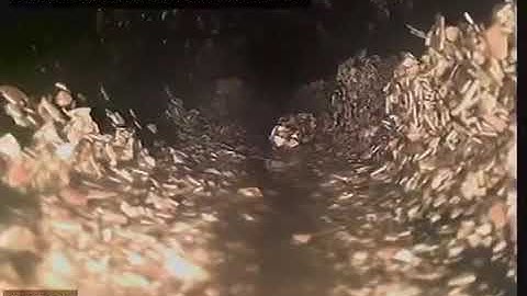 Don’t EVER put eggshells in a disposal