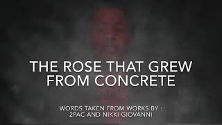 THE ROSE THAT GREW FROM CONCRETE The Rose That Grew From Concrete Commonlit Answers
