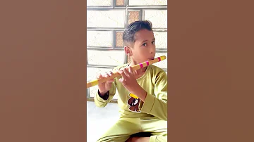 Sa Re Ga Ma On Flute D Scale Sargam Fluteshorts Flutelearning 