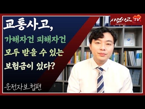 자동차보험료할증지원금