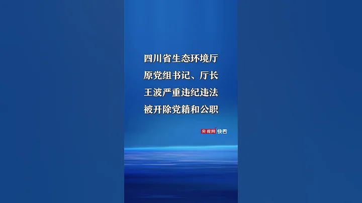 四川省生态环境厅原党组书记、厅长王波严重违纪违法被开除党籍和公职 - 天天要闻