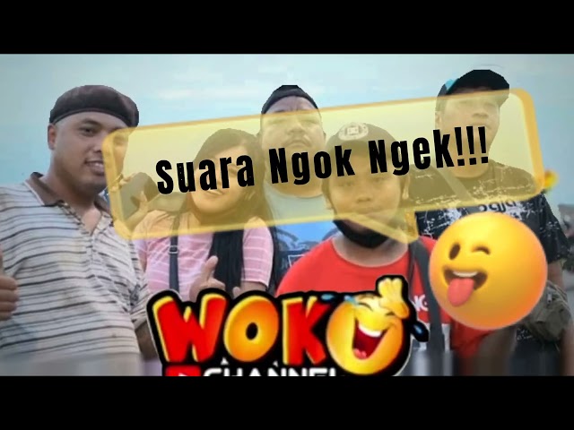 Suara NGOK NGEK @WOKOCHANNEL class=