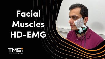Signal Demo: Facial Muscles HD-EMG Recording