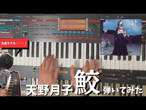 【名曲過ぎる】天野月子「鮫」弾いてみた #天野月子 #弾いてみた 